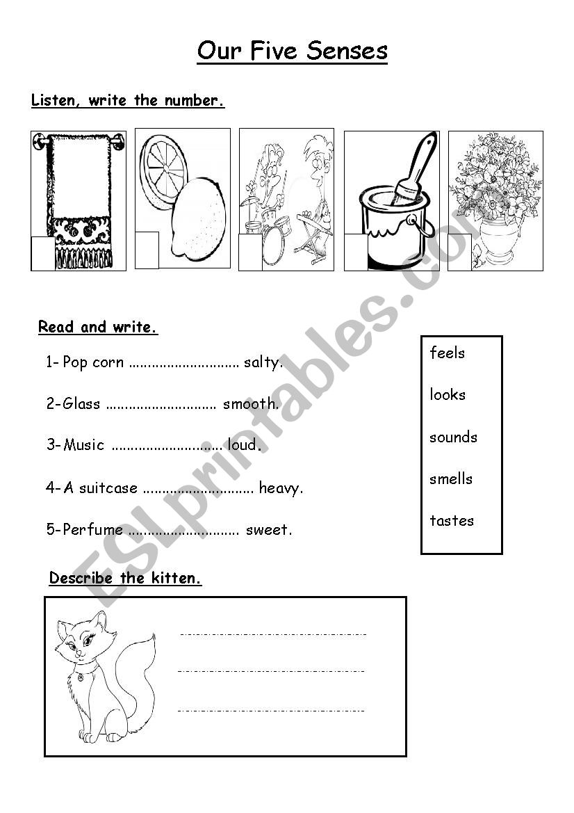 Our Five Senses worksheet