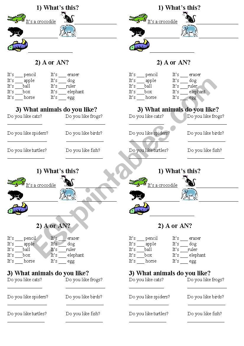 Animals test worksheet