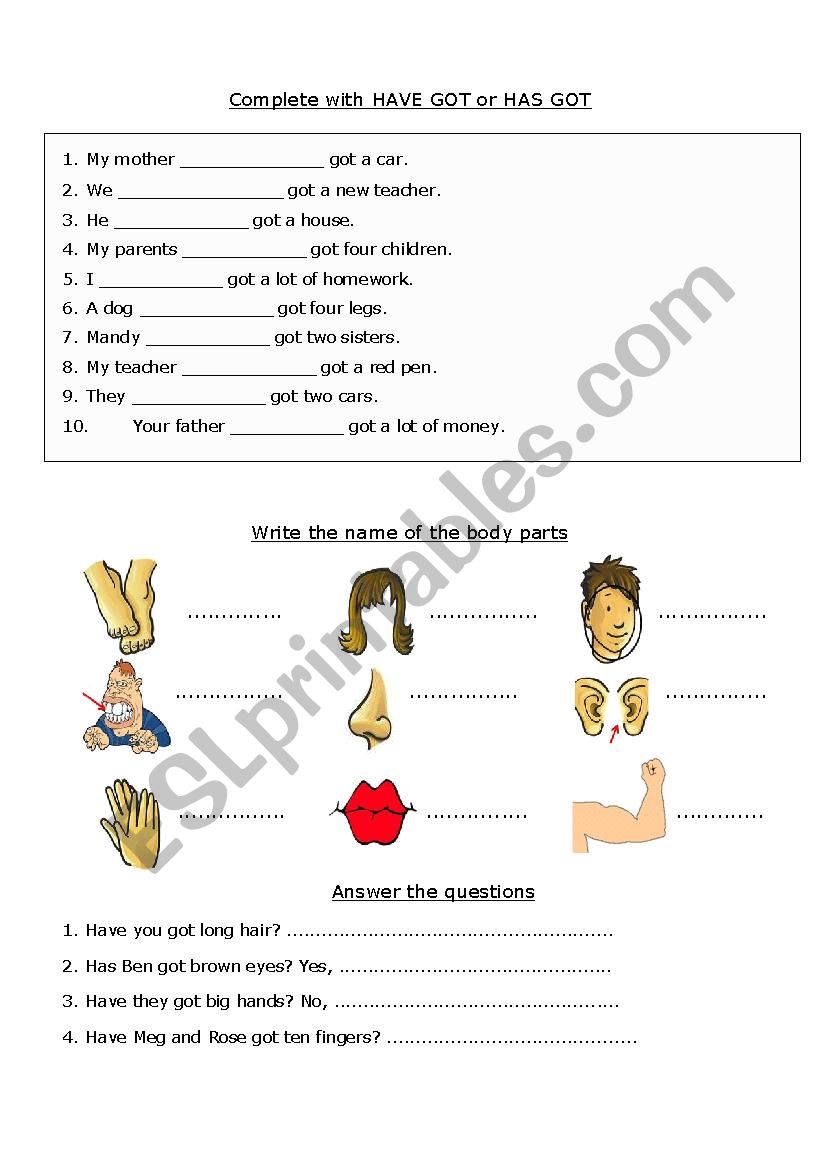 Revision - have got, has got. there is/are some /any