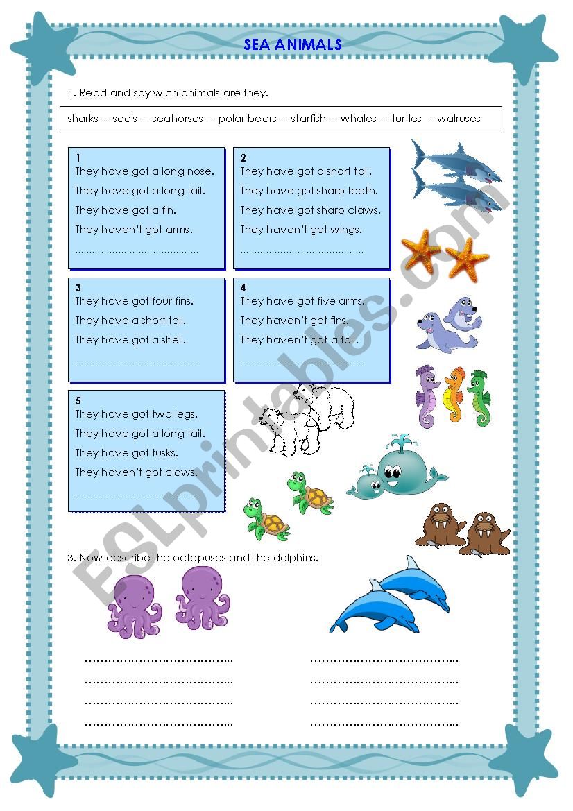 SEA ANIMALS worksheet