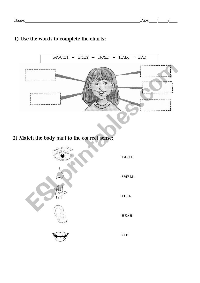 Parts of the body and 5 senses