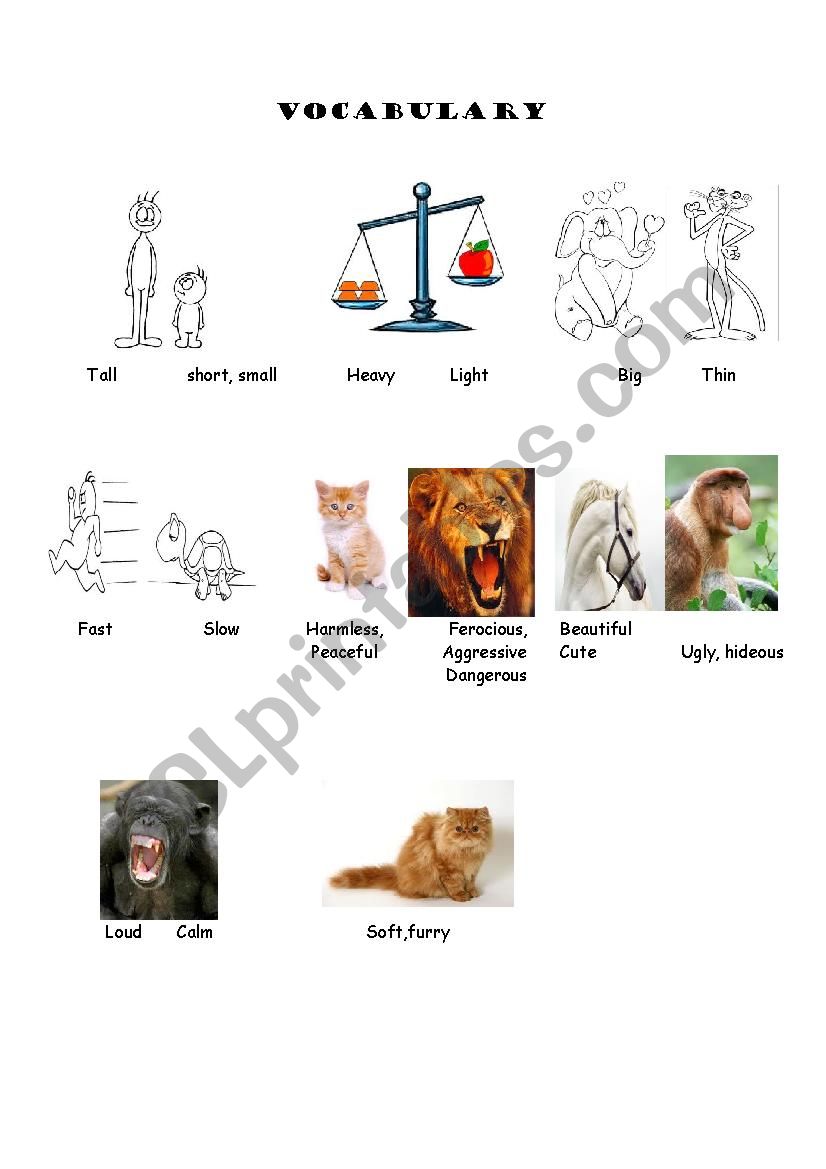 Adjectives worksheet