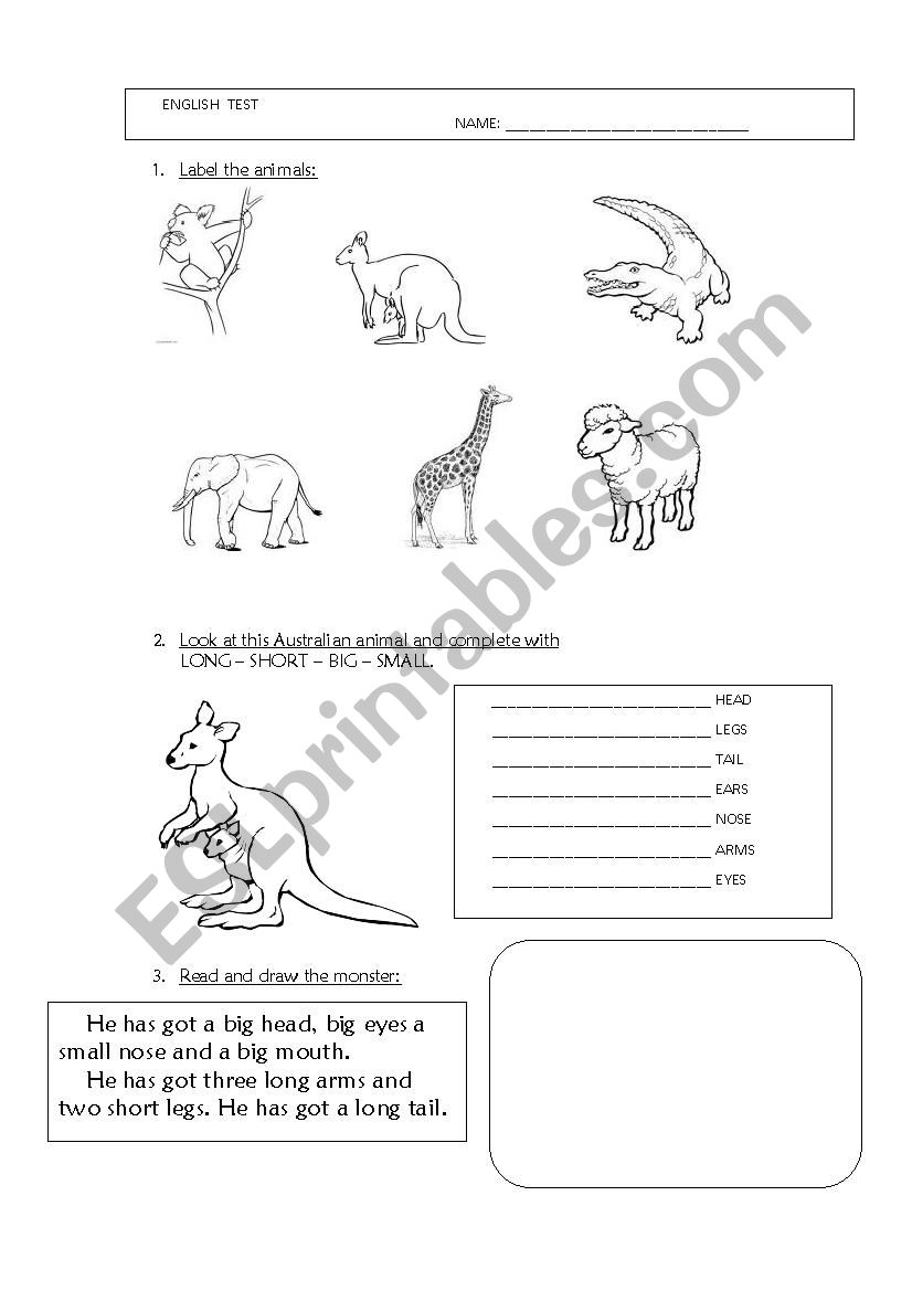 animals and body worksheet