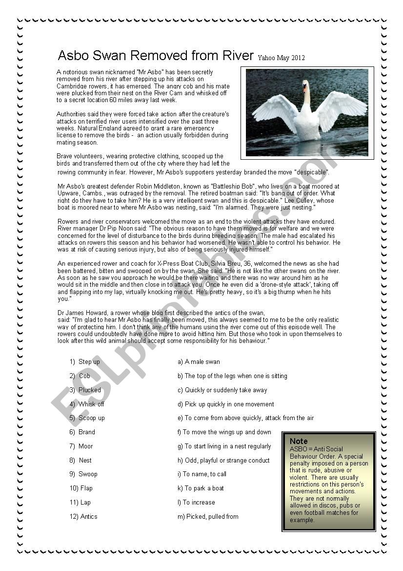 Asbo Swan: Reading and Role-Play