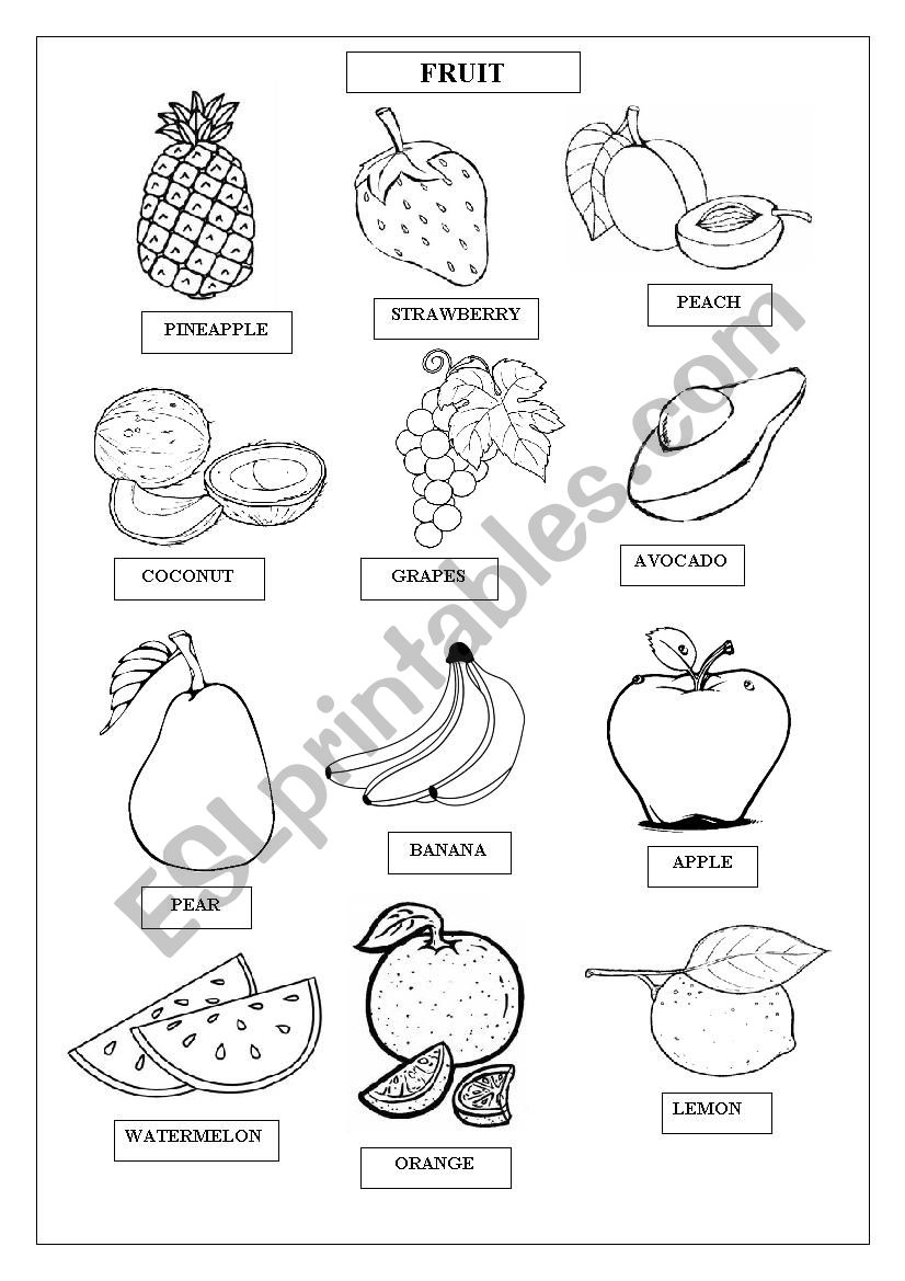 FRUIT worksheet