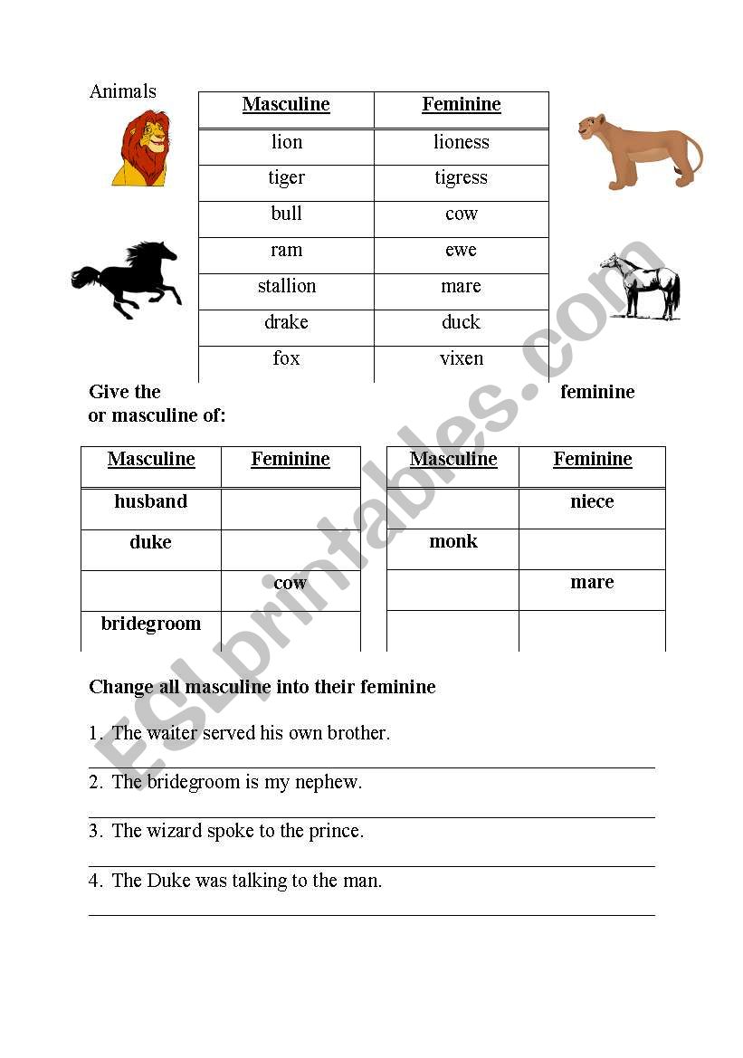 masculine and feminine worksheet2