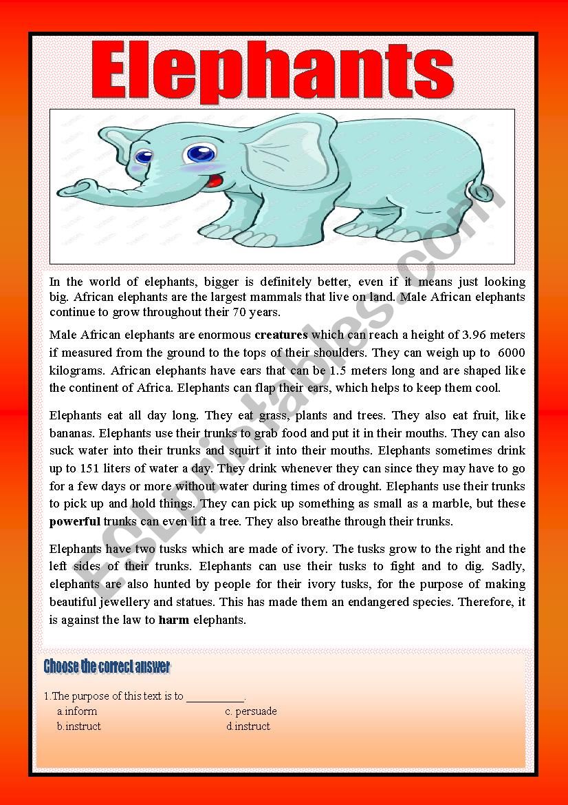 Elephants worksheet