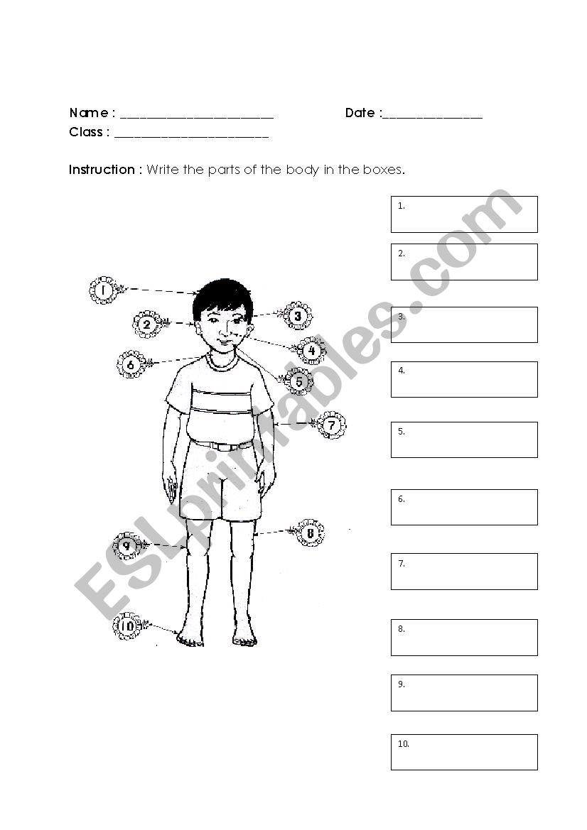 part-of-the-body-esl-worksheet-by-shamiey