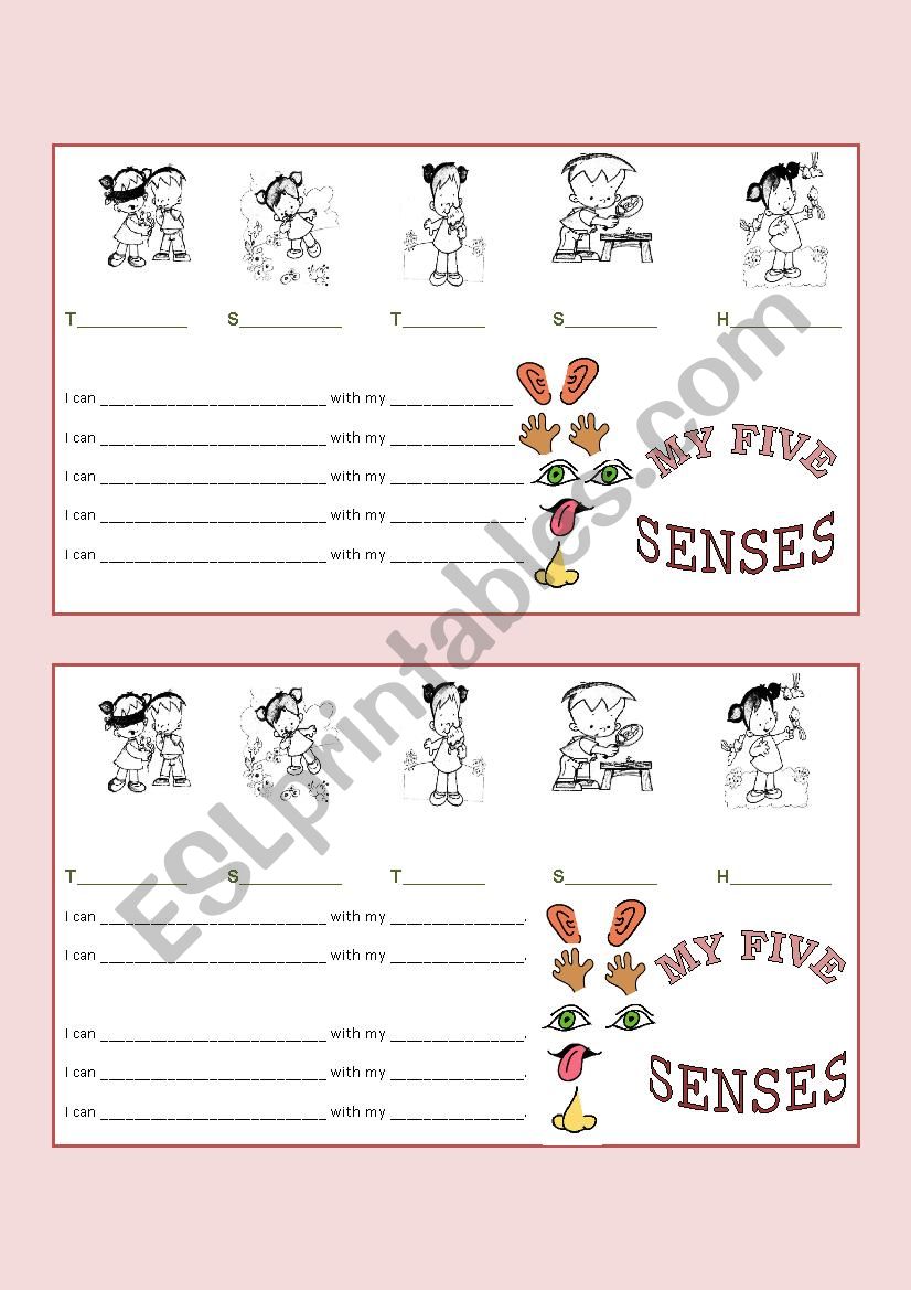 five senses worksheet