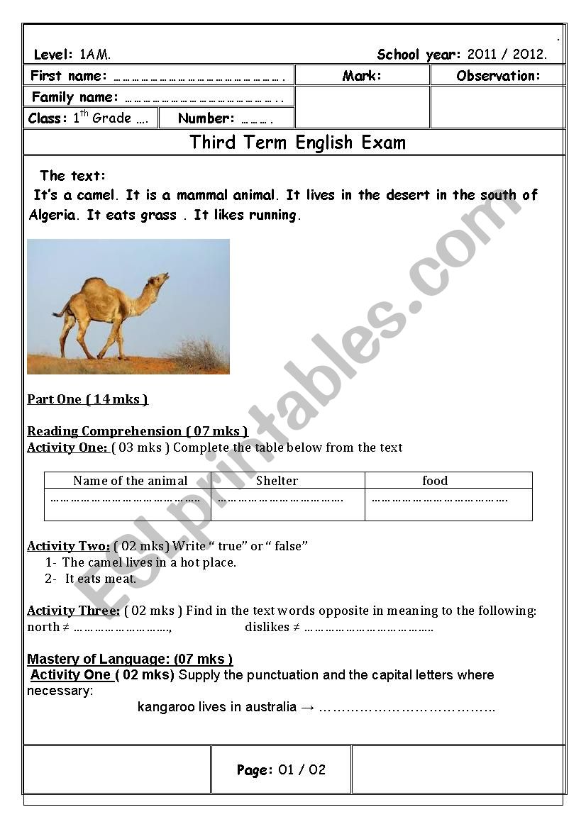 Animals worksheet