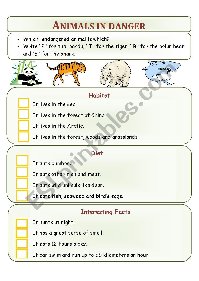 Animals in danger worksheet