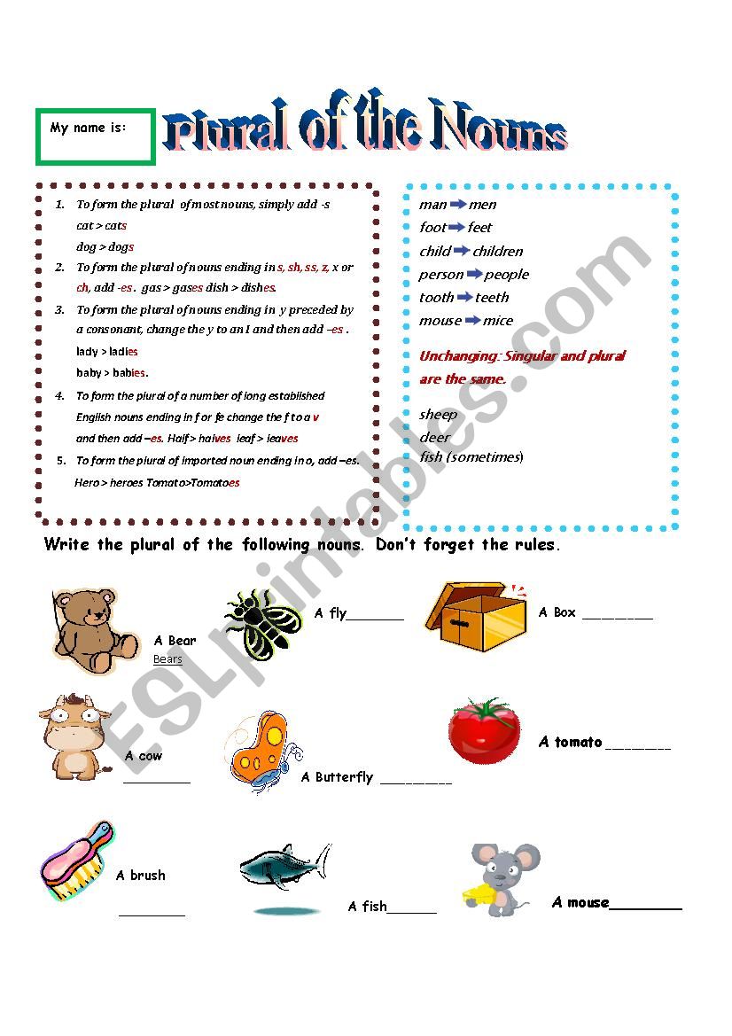 Plural of the nouns worksheet