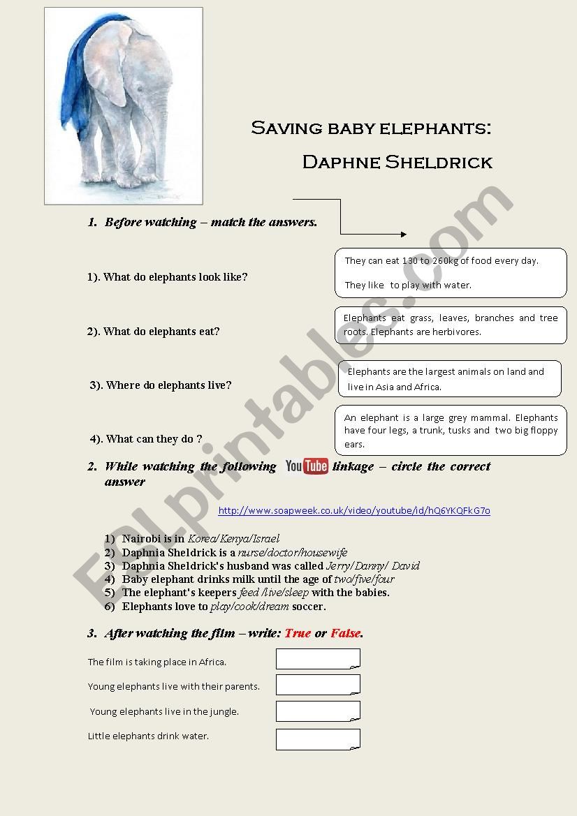 Saving baby elephants worksheet