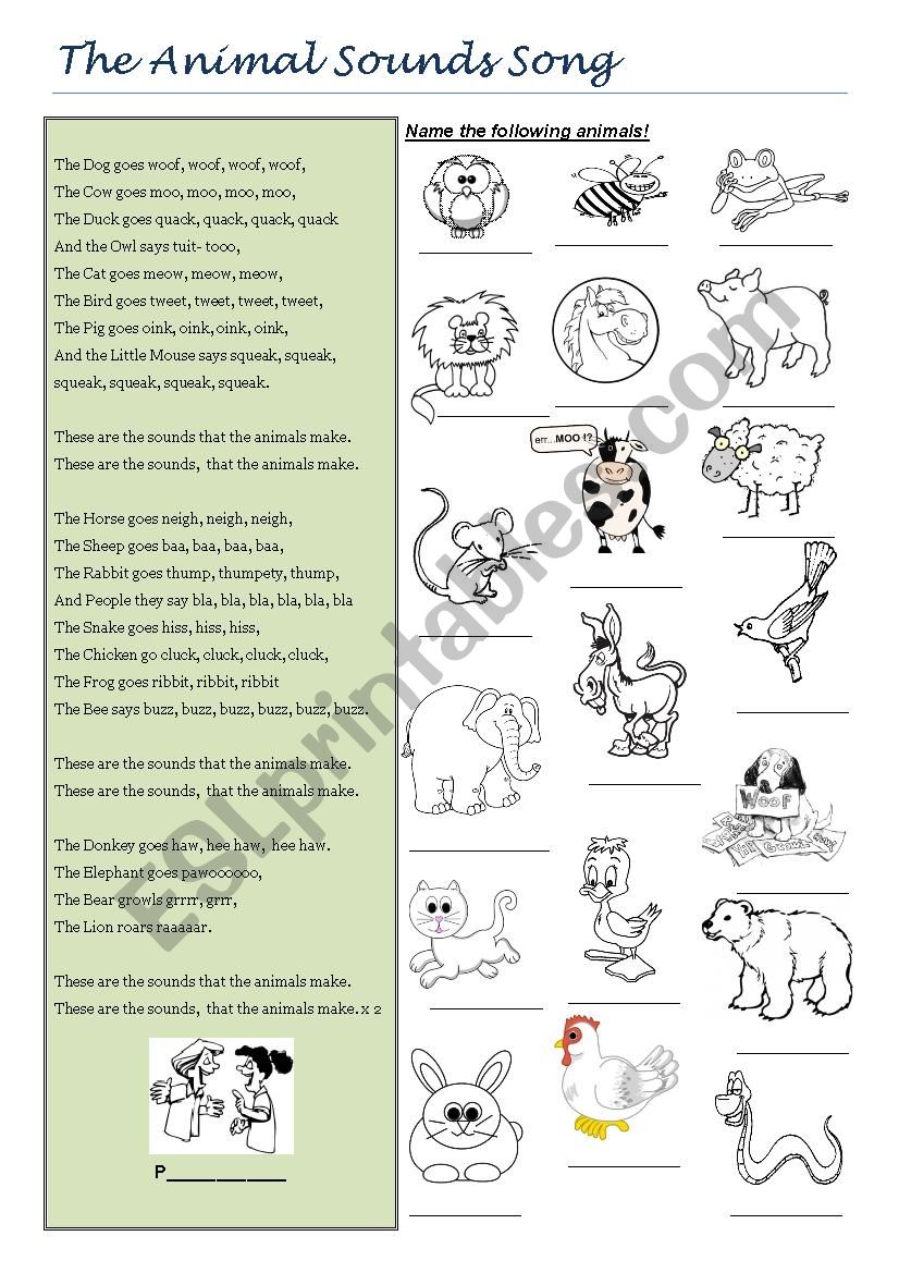 The animals song worksheet