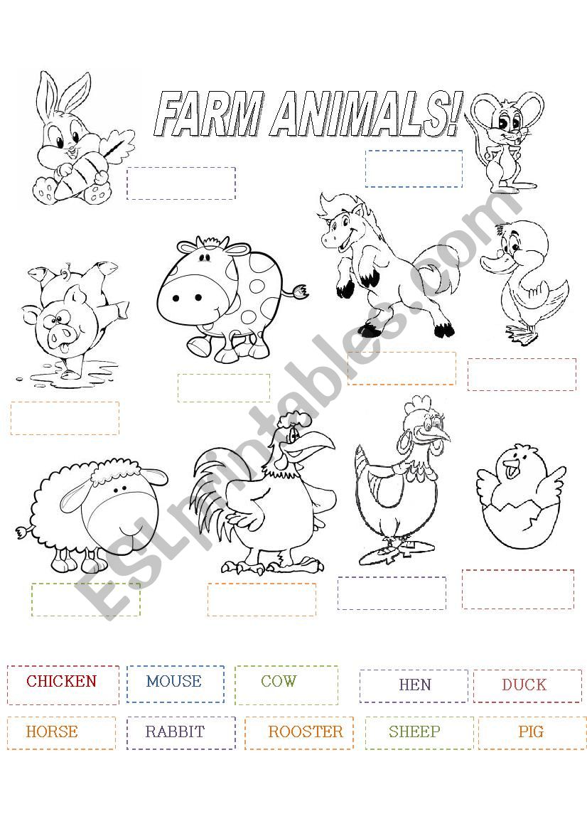 farm animals worksheet