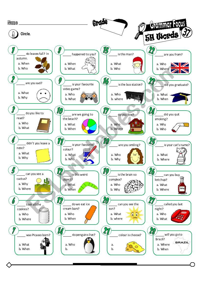 Grammar Focus Series 37_5W Question Words (Fully Editable + Key) 