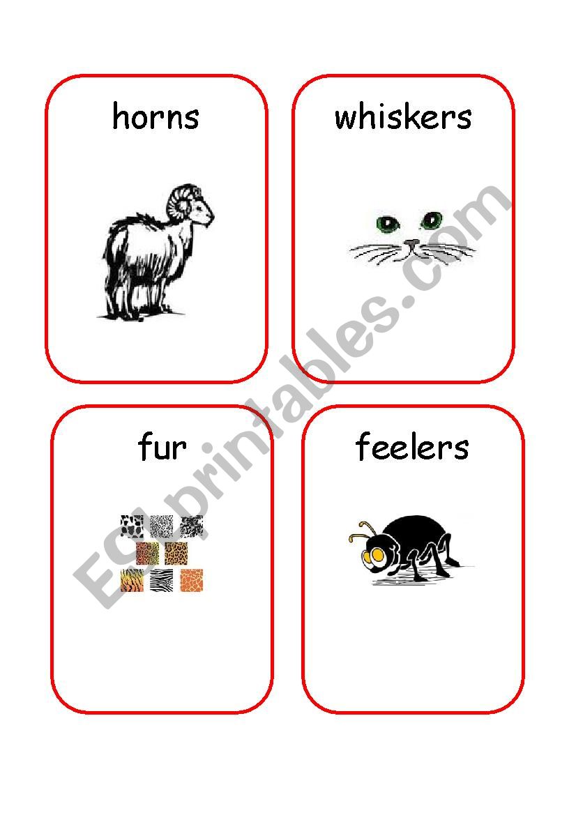 Animals Body Parts - 2 worksheet