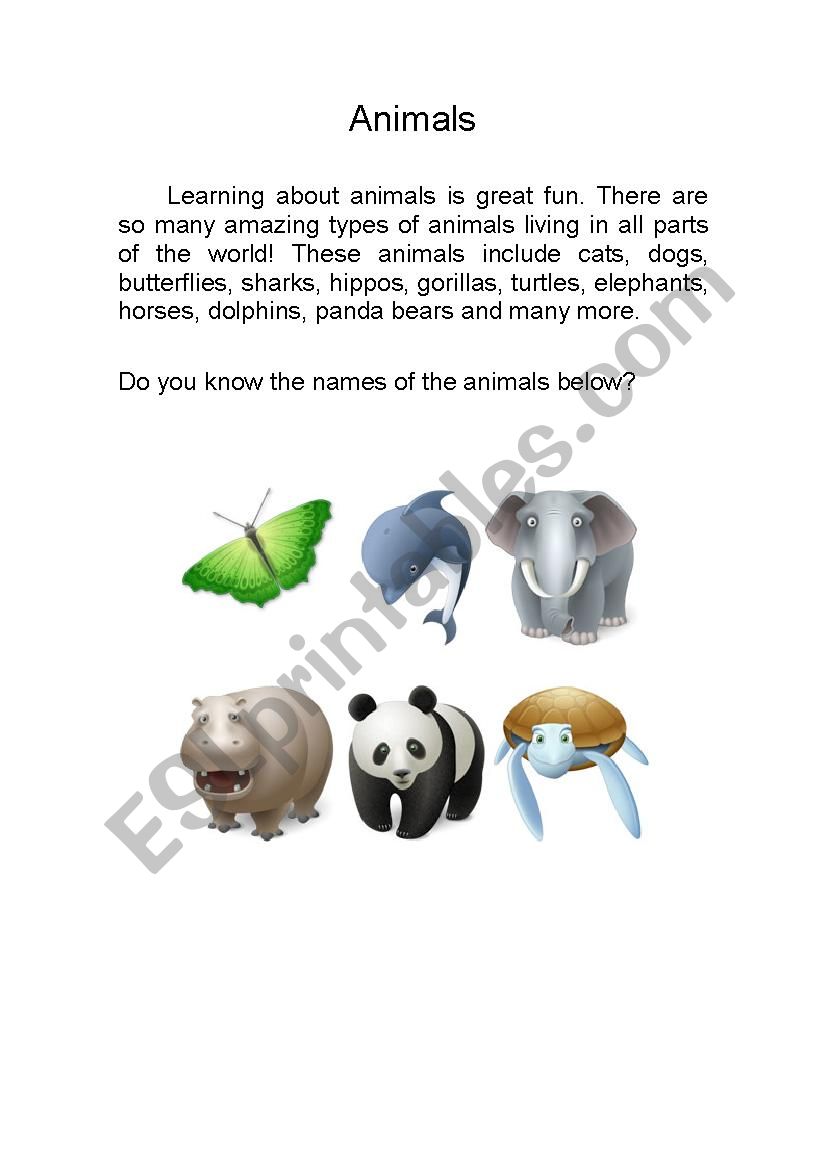 Animals  worksheet