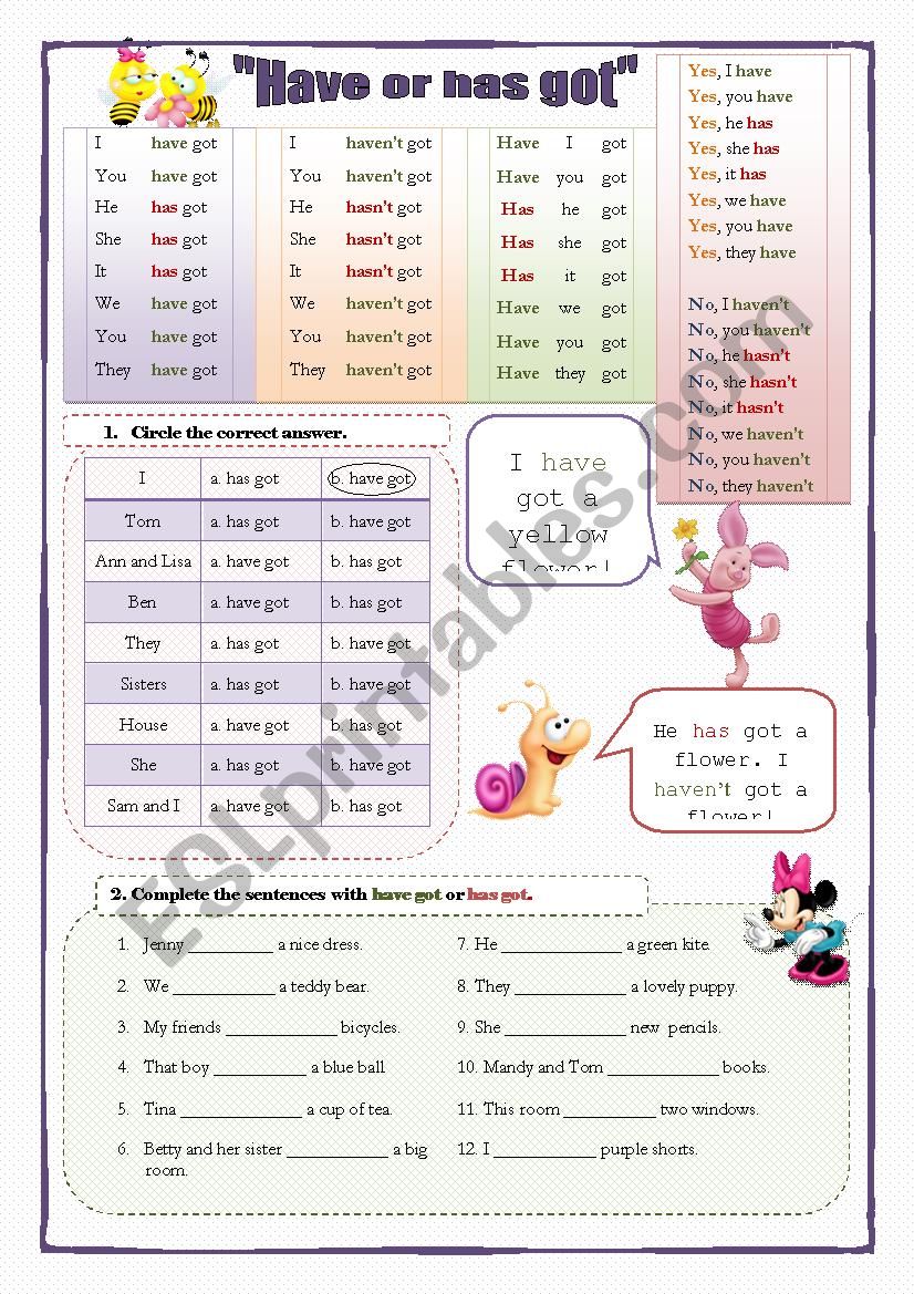 Have or has got (2 pages, 5 exercises)