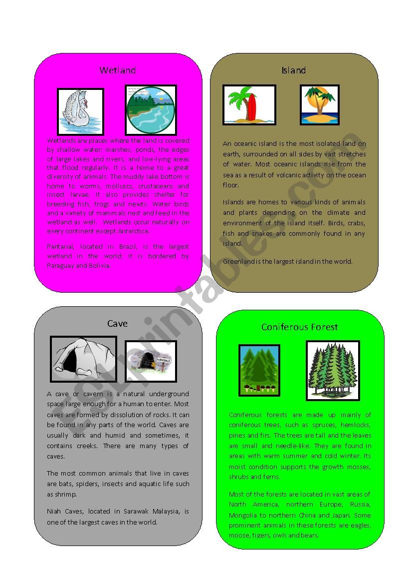 Environment/Habitat part 3 ( Wetland, Cave, Island, Coniferous Forest)