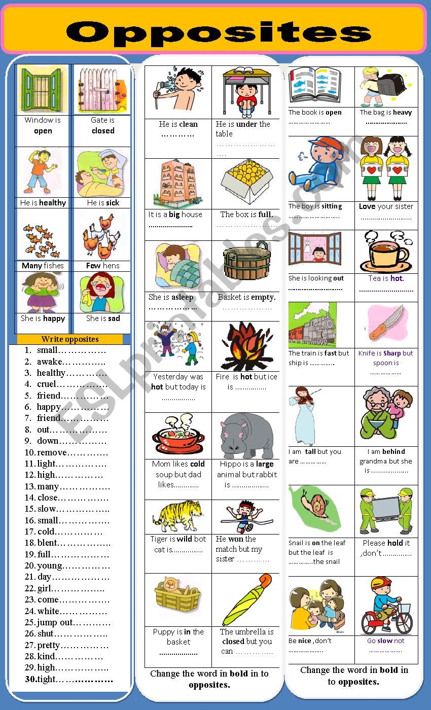 OPPOSITES worksheet