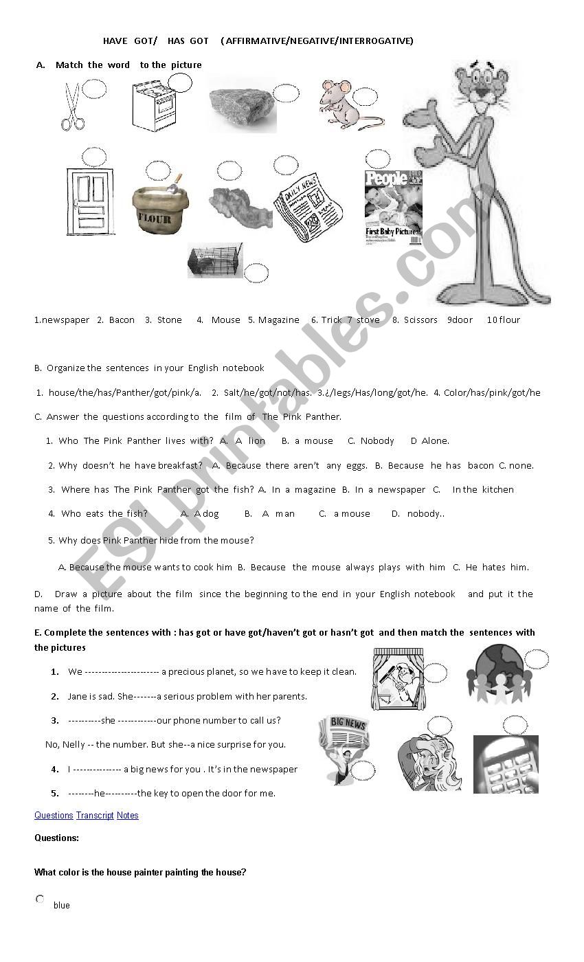 Have/has  got    Exercises worksheet