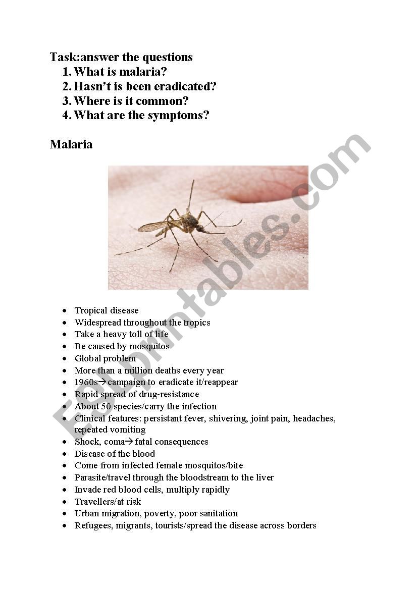 malaria worksheet
