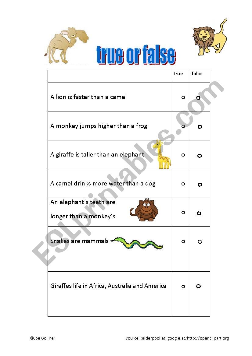 true or false worksheet