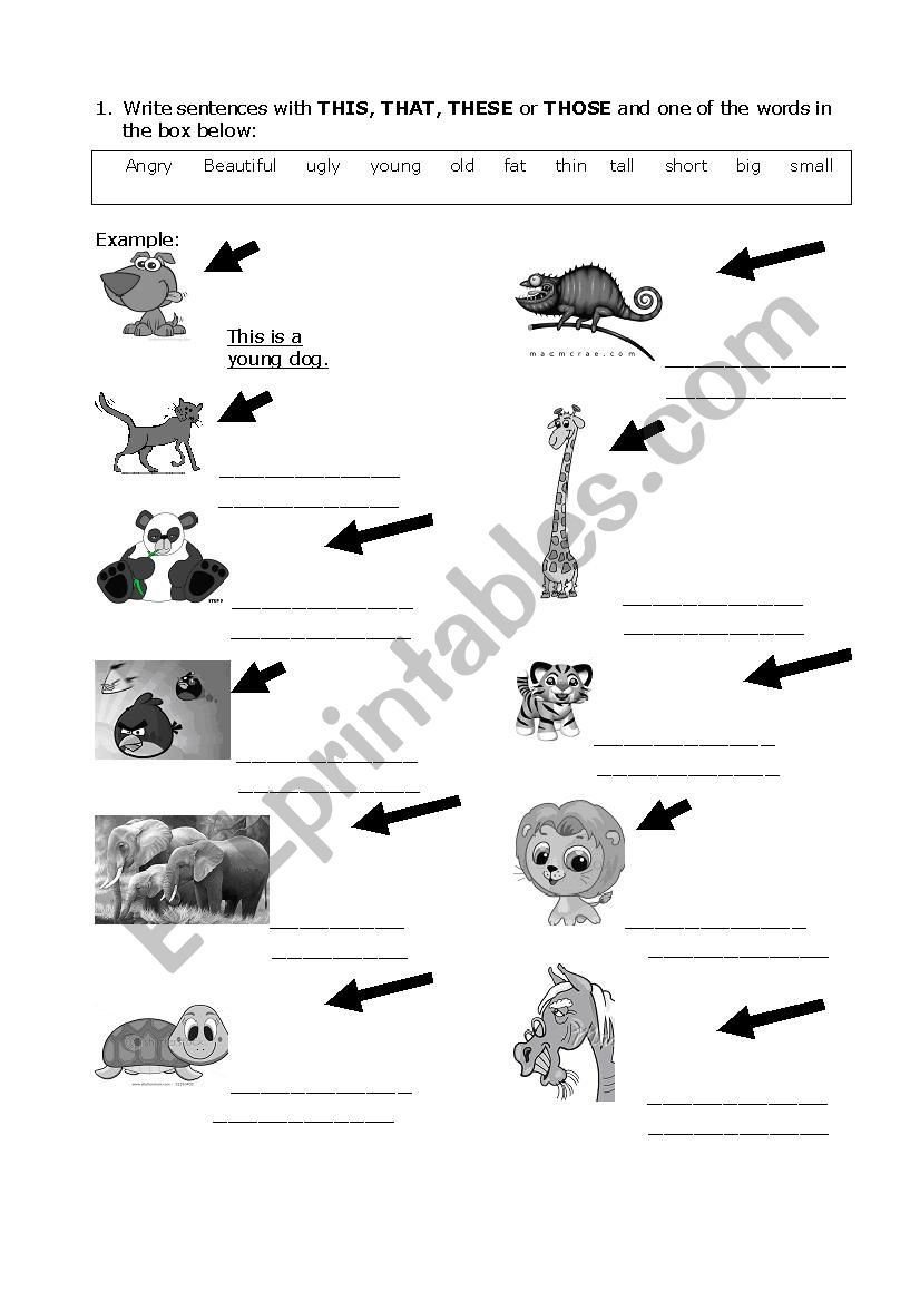 Demonstratives + Adjectives worksheet