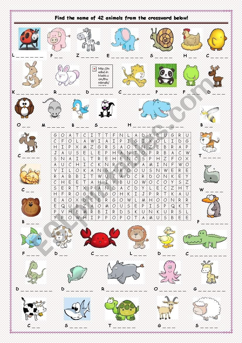 animals worksheet