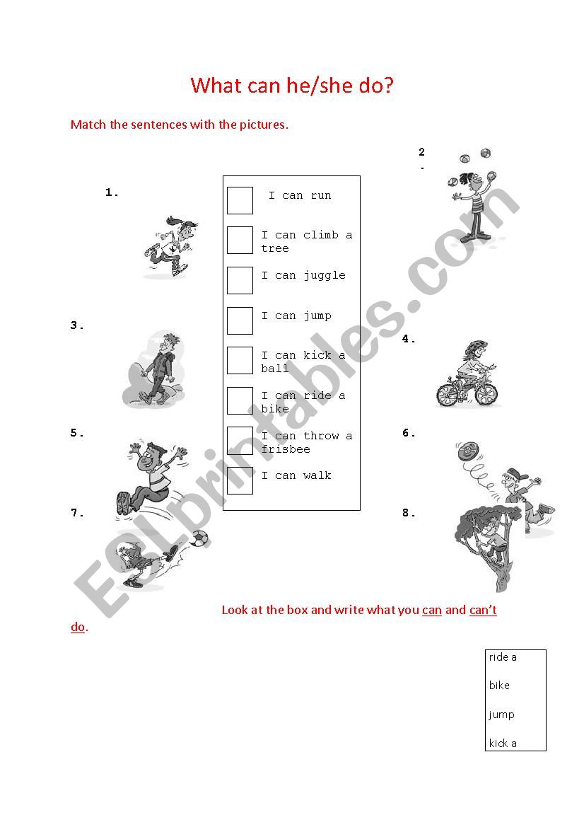 can/cant worksheet