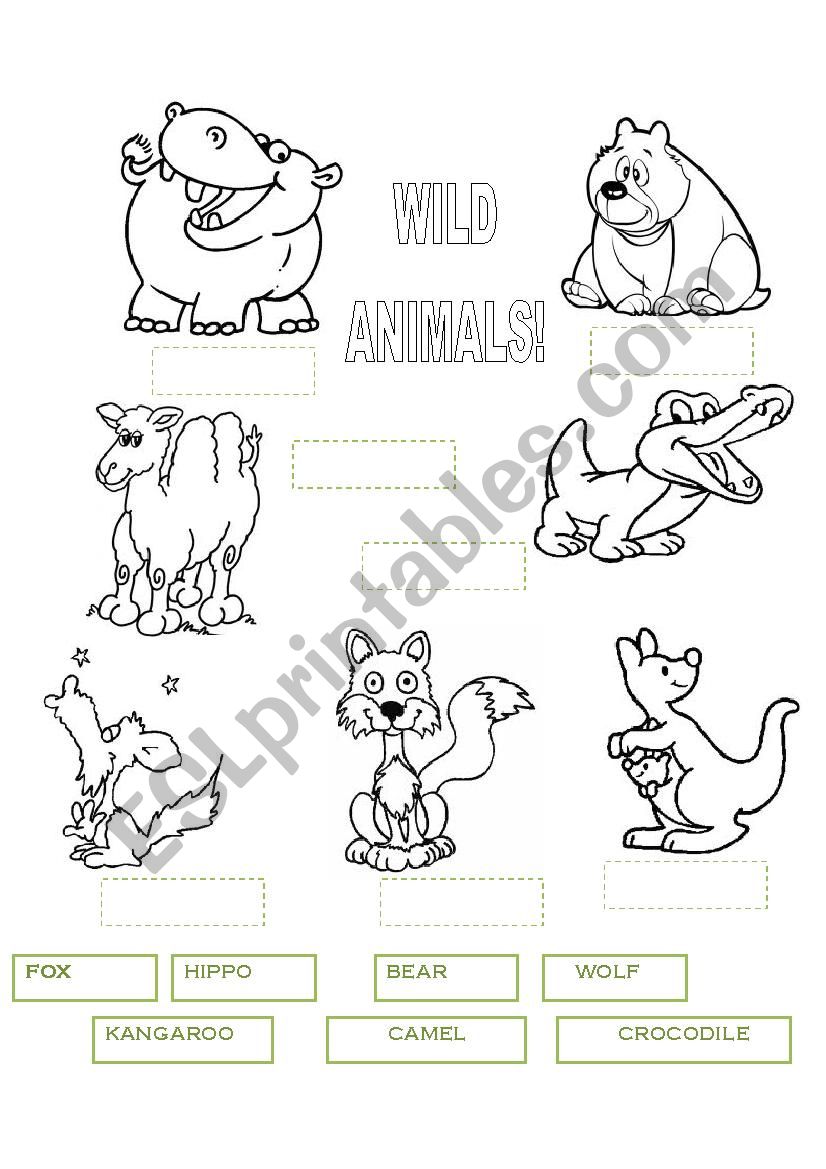 WILD ANIMALS 2 worksheet