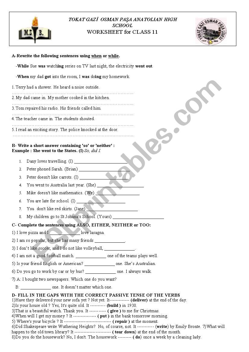 WORKSHEET for ANATOLIAN HIGH SCHOOLS CLASS 11 STUDENTS