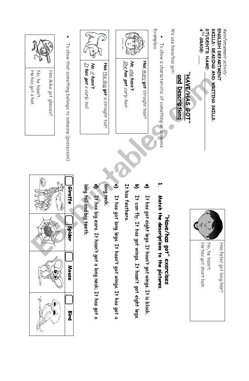 Have got - Has got (descriptions and possession)