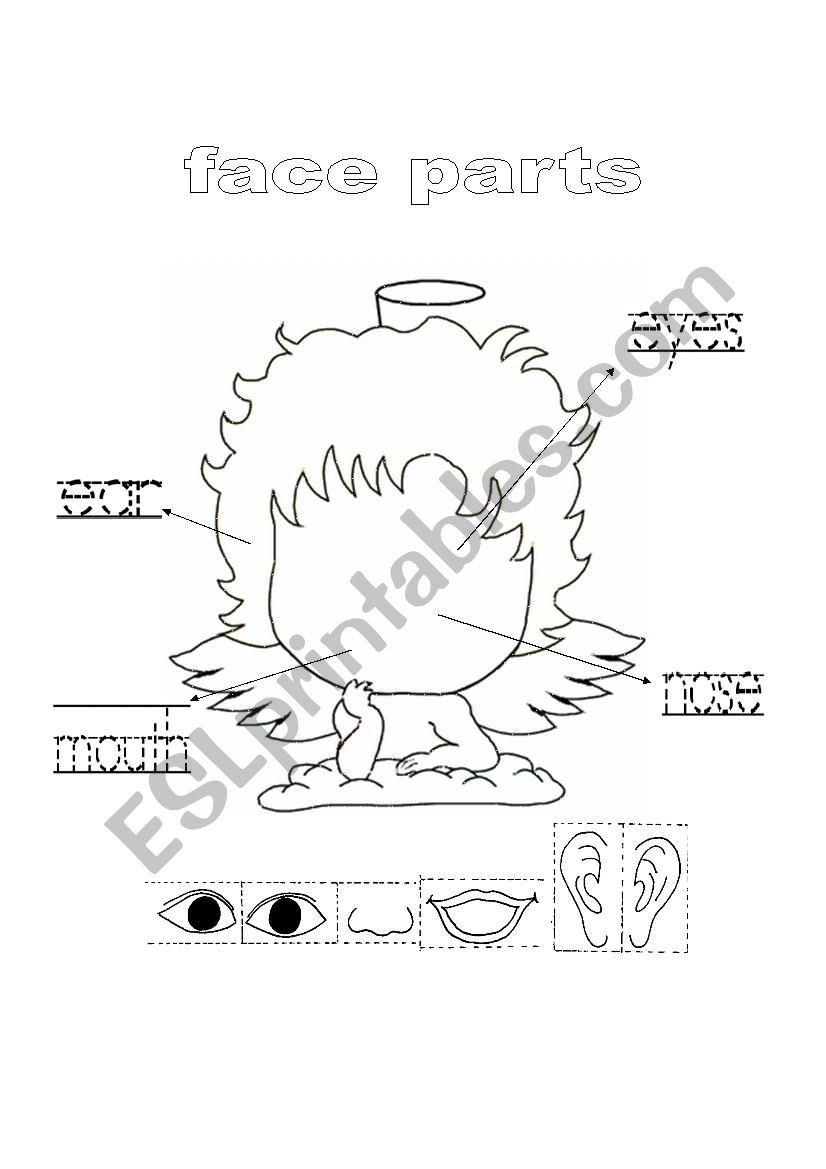 face parts worksheet