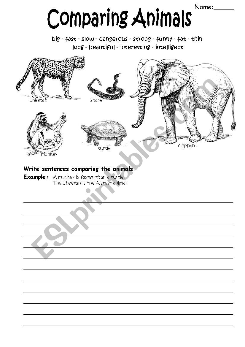 comparatives and superlatives and animals (writing)