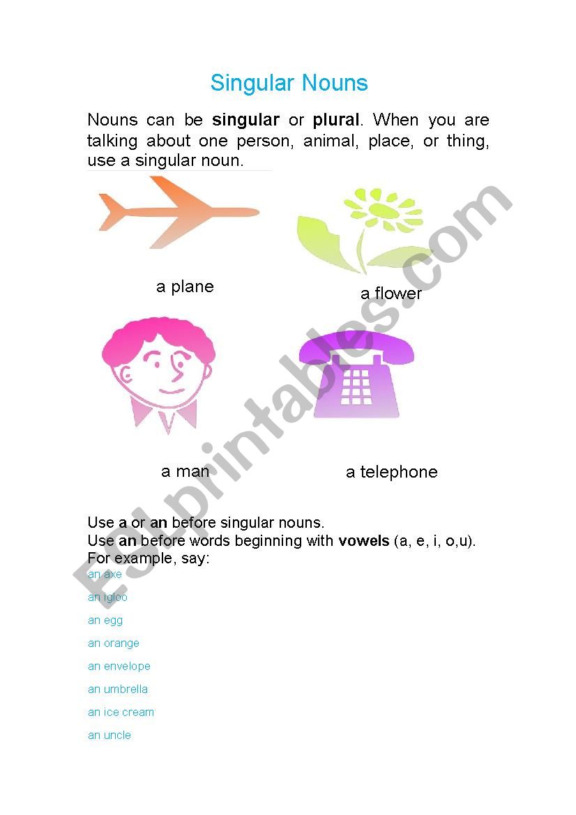 Singular Nouns worksheet