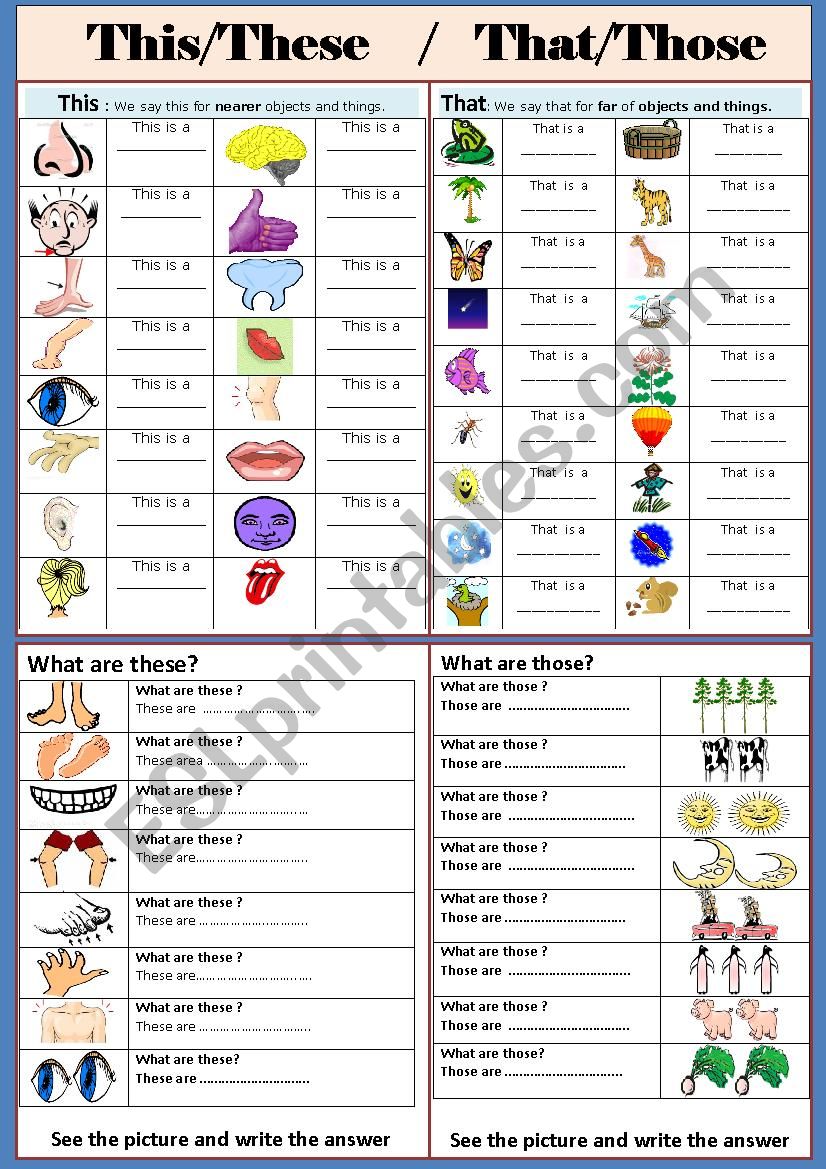 This/These /That /Those worksheet