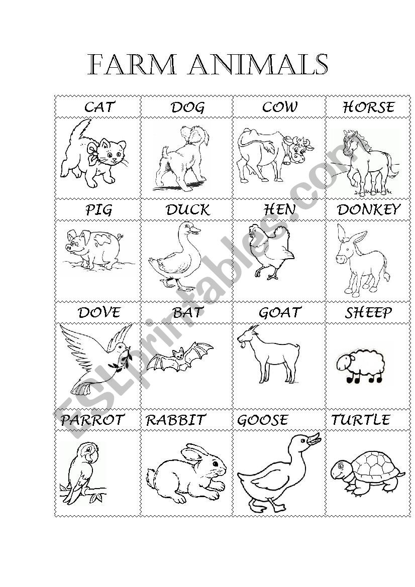 FARM ANIMALS worksheet