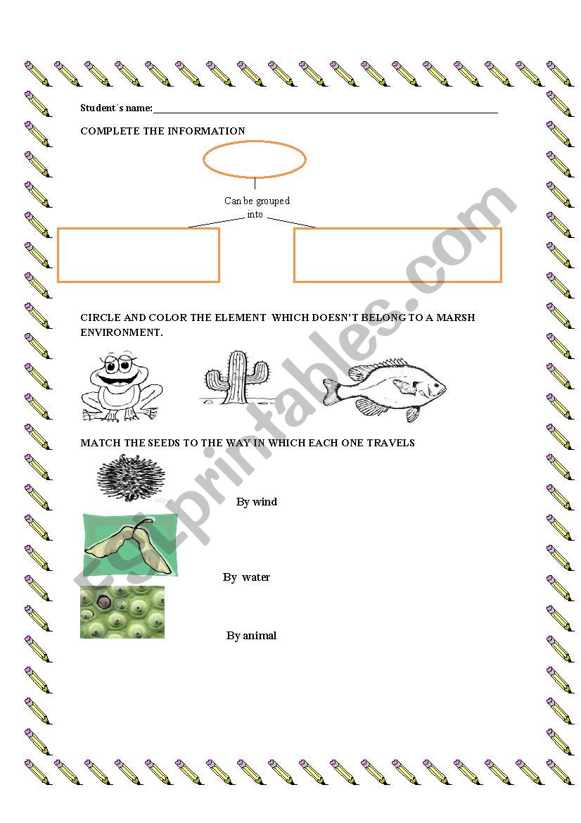 Plant and animals worksheet