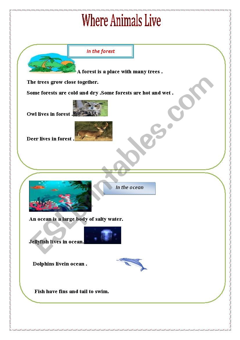 Where animals live worksheet