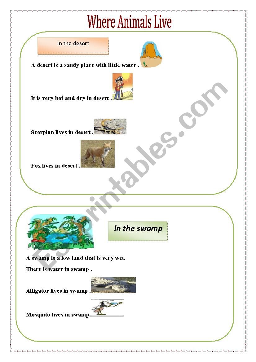 where  do animals live worksheet