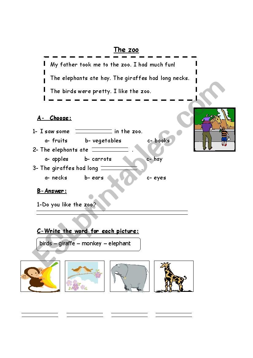 The zoo worksheet