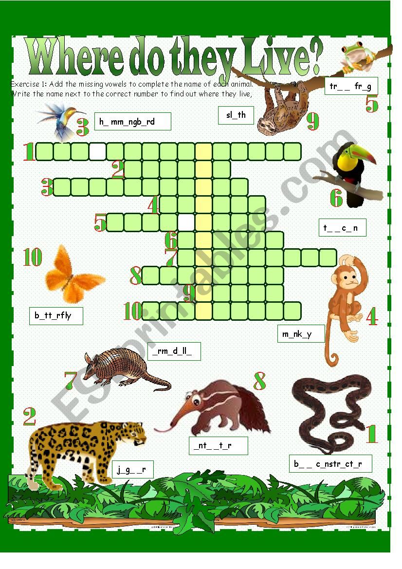 Habitats - Rainforest worksheet