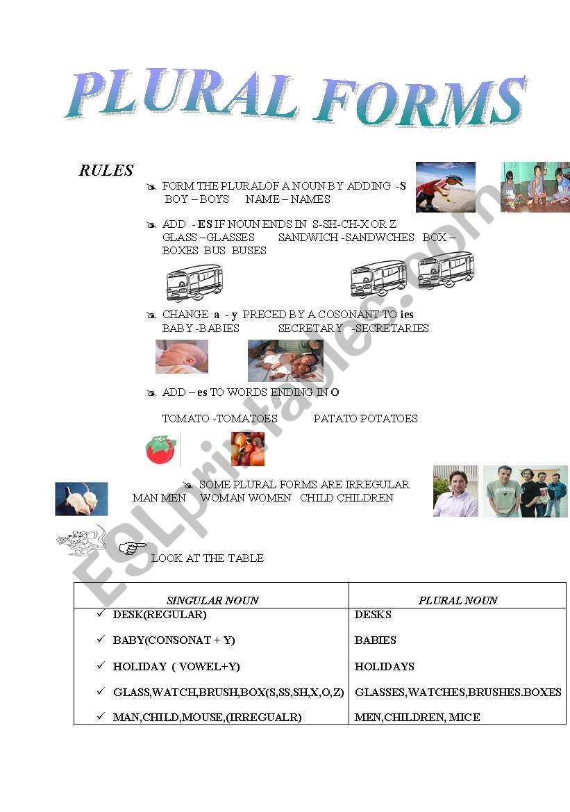 PLURAL NOUNS worksheet