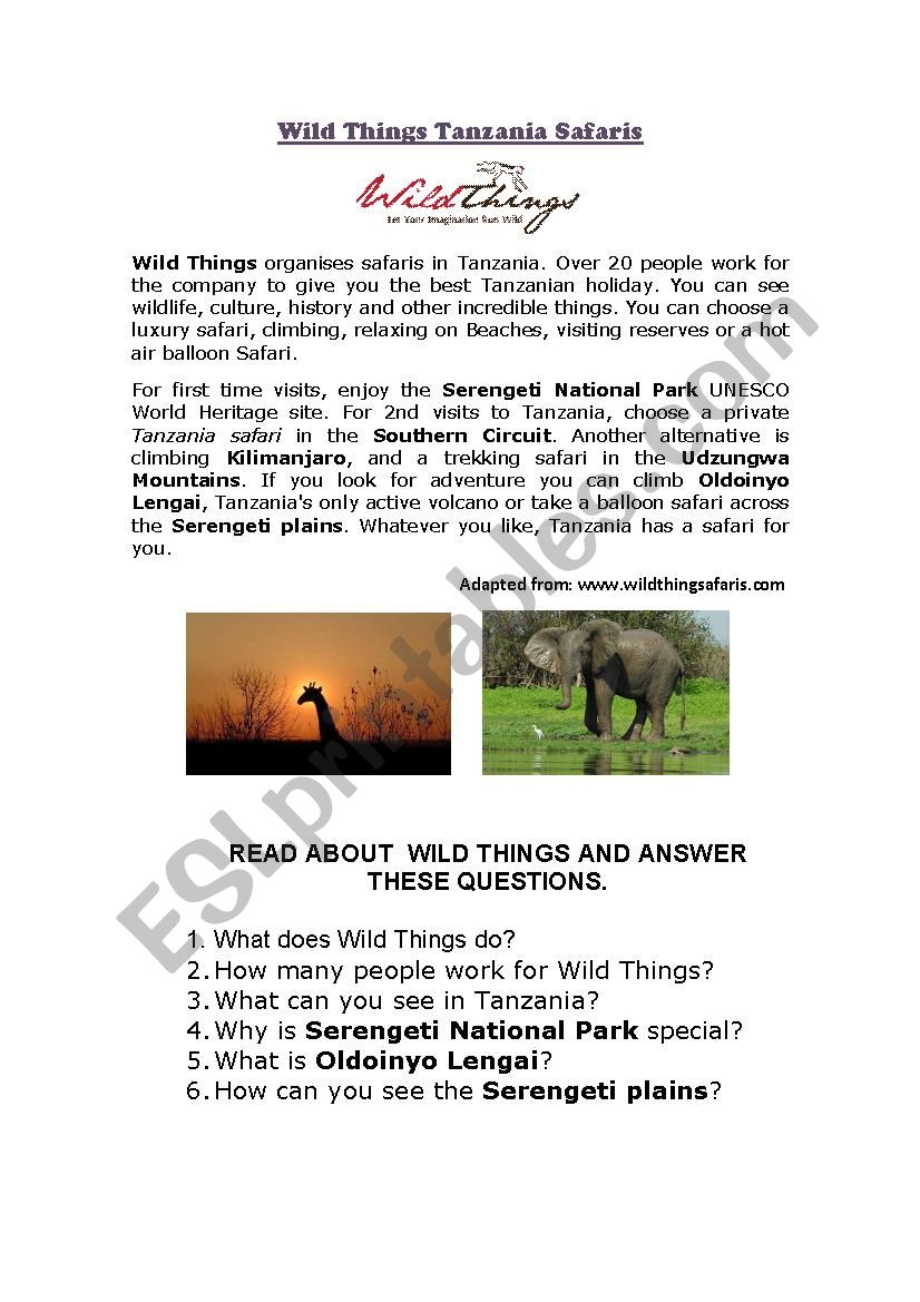 Wild Things Safaris worksheet