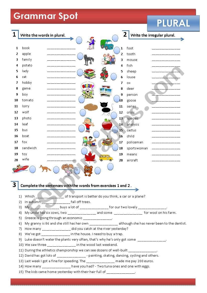 Plural Nouns Regular And Irregular Worksheet