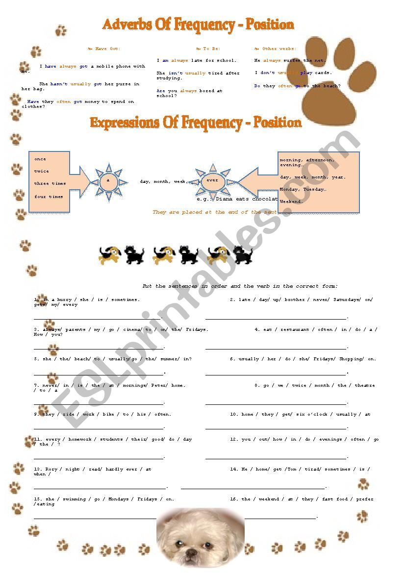 Adverbs and Expressions Of Frequency Position