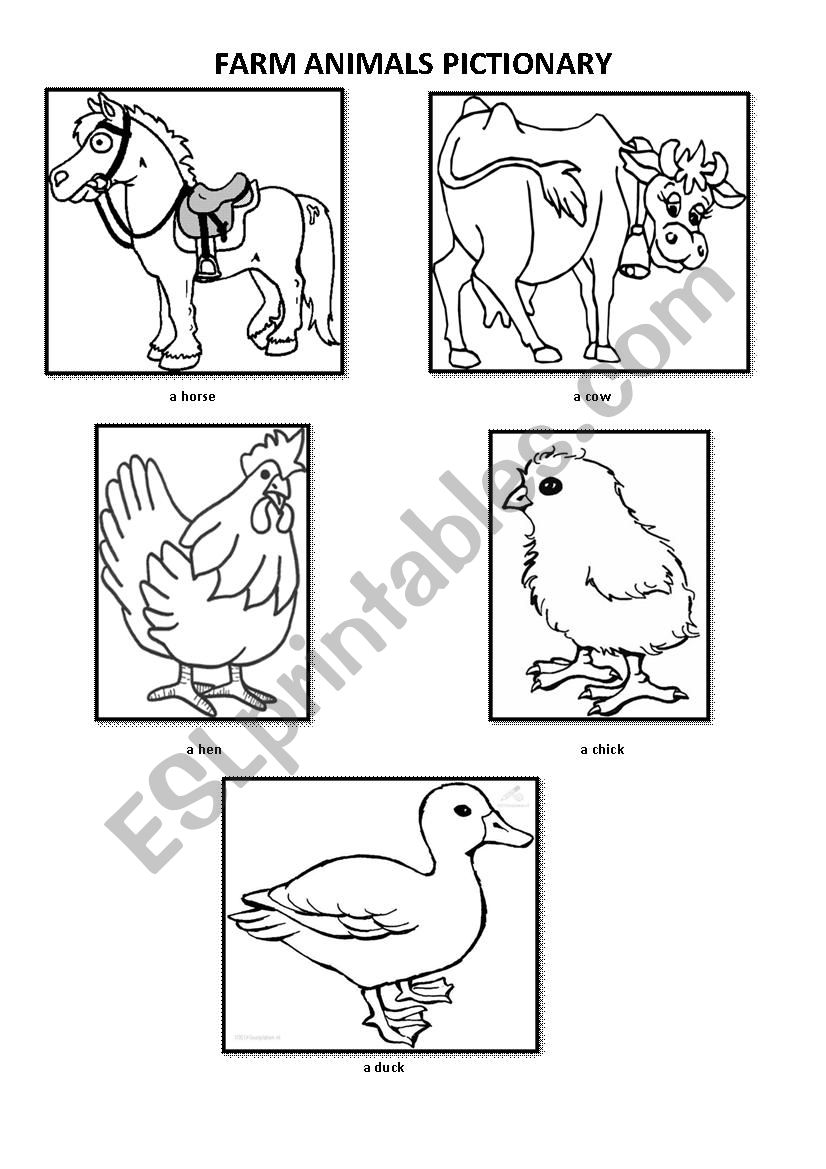 Farm Animals Pictionary worksheet