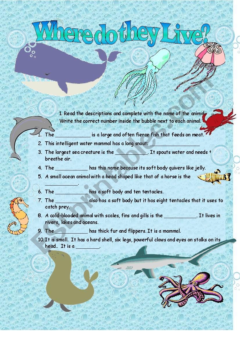 Habitat_ Oceans worksheet